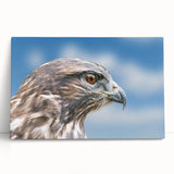 Stretched canvas wall art from the Birds of Pray collection, showcasing vibrant illustrations of various birds in a colorful, nature-inspired design, perfect for home decor.