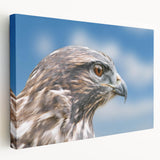 Stretched canvas wall art showcasing a vibrant birds of prey design, featuring detailed illustrations in rich colors, perfect for enhancing home decor.