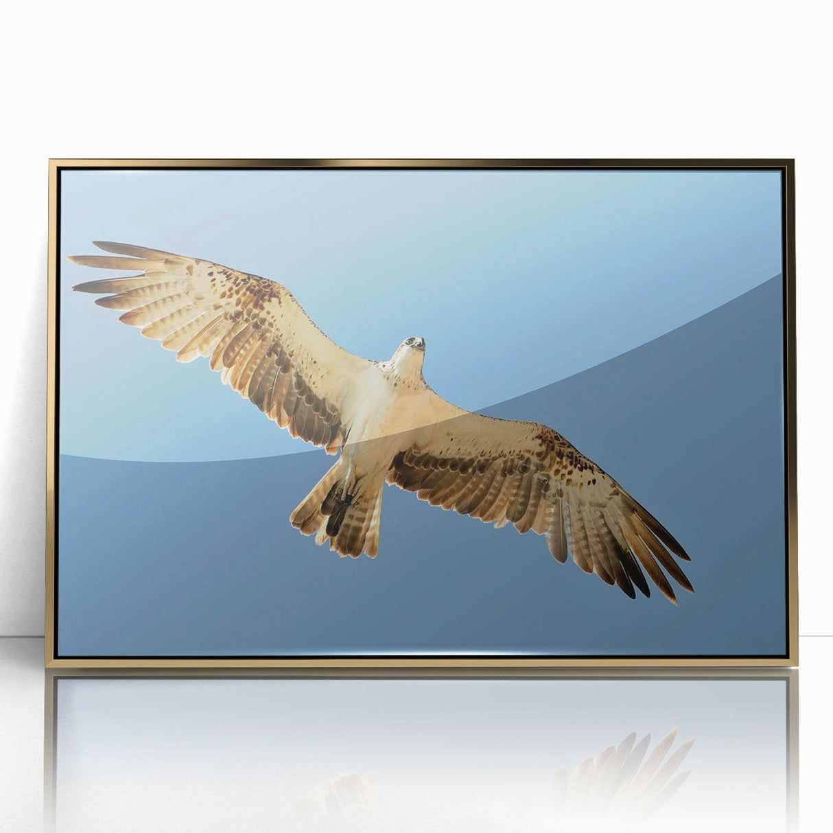 Soaring Bird of Prey - Majestic Eagle Wall Art in Clear Blue Sky