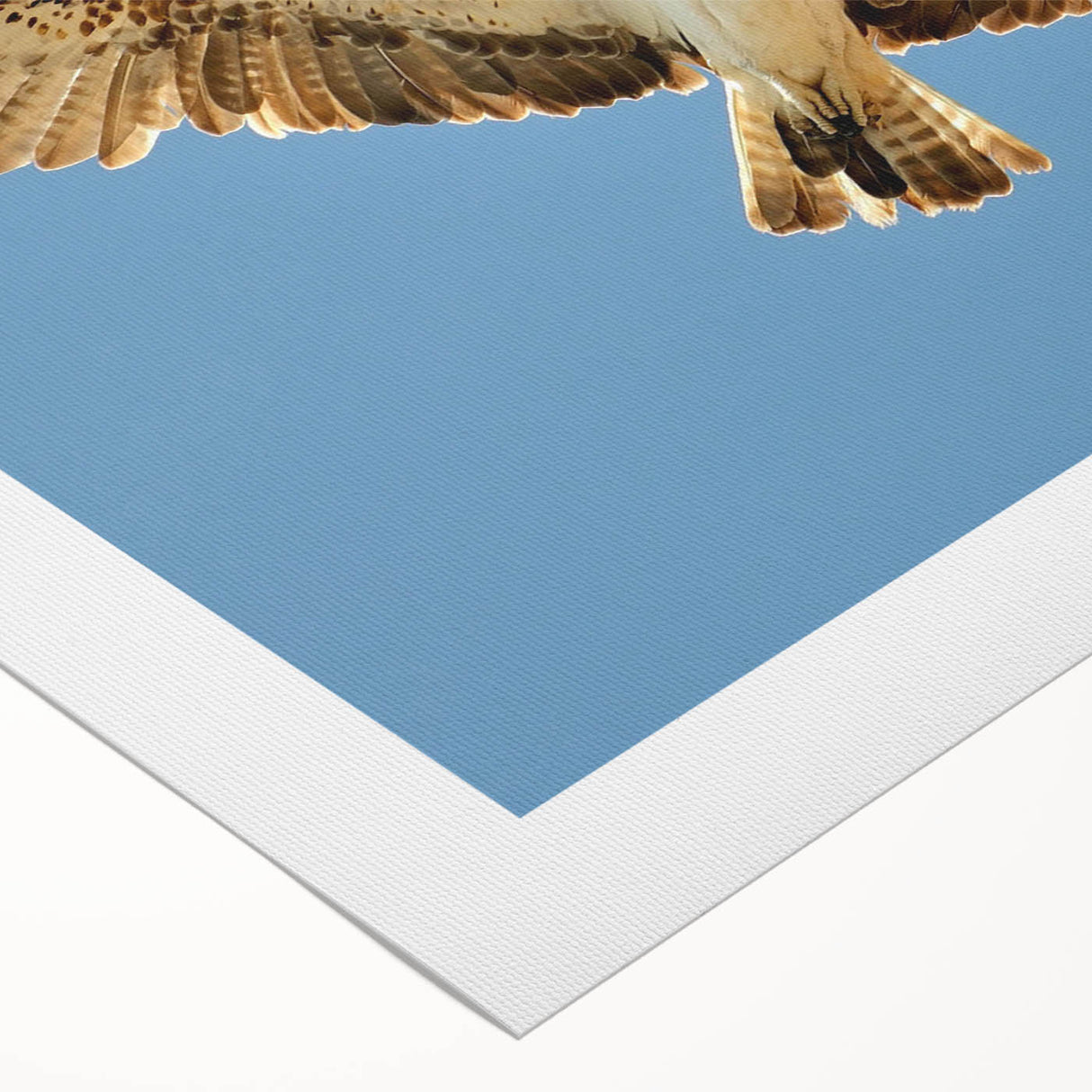 Soaring Bird of Prey - Majestic Eagle Wall Art in Clear Blue Sky