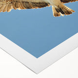 Soaring Bird of Prey - Majestic Eagle Wall Art in Clear Blue Sky