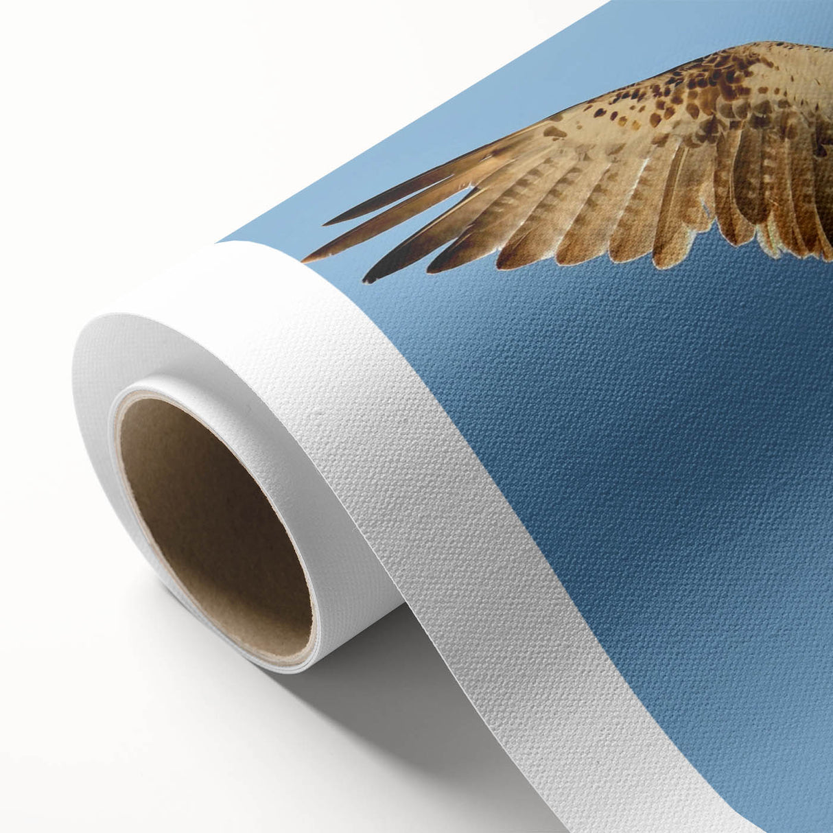 Soaring Bird of Prey - Majestic Eagle Wall Art in Clear Blue Sky
