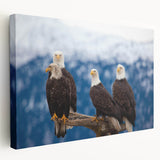 Stretched canvas wall art showcasing a vibrant bird design in an artistic style, featuring rich colors and detailed textures, perfect for home decor.