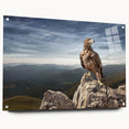 Eagle on Mountain Peak - Majestic Birds of Prey Wall Art Landscape