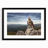 Eagle on Mountain Peak - Majestic Birds of Prey Wall Art Landscape