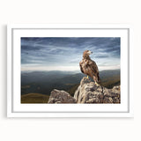 Eagle on Mountain Peak - Majestic Birds of Prey Wall Art Landscape