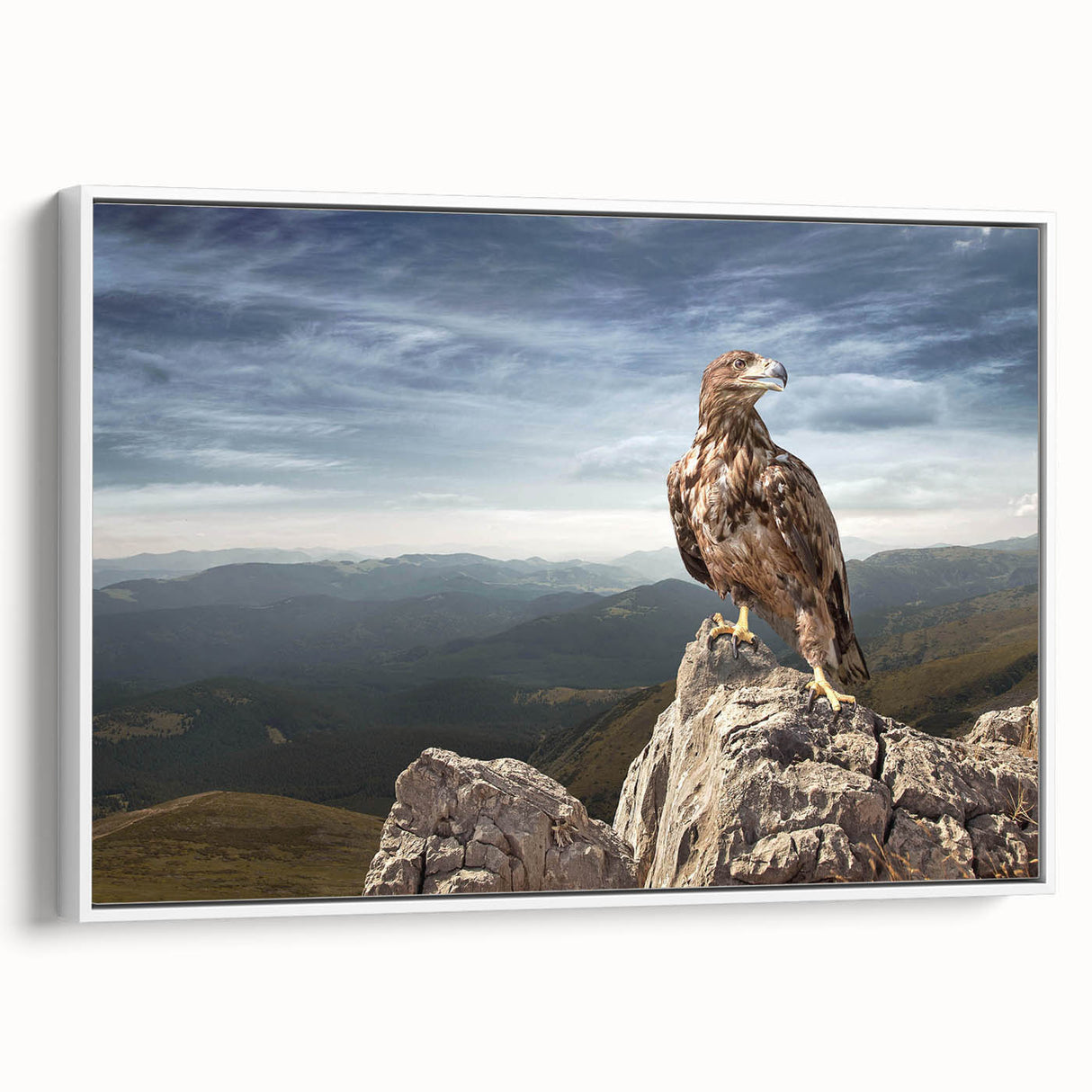 Eagle on Mountain Peak - Majestic Birds of Prey Wall Art Landscape
