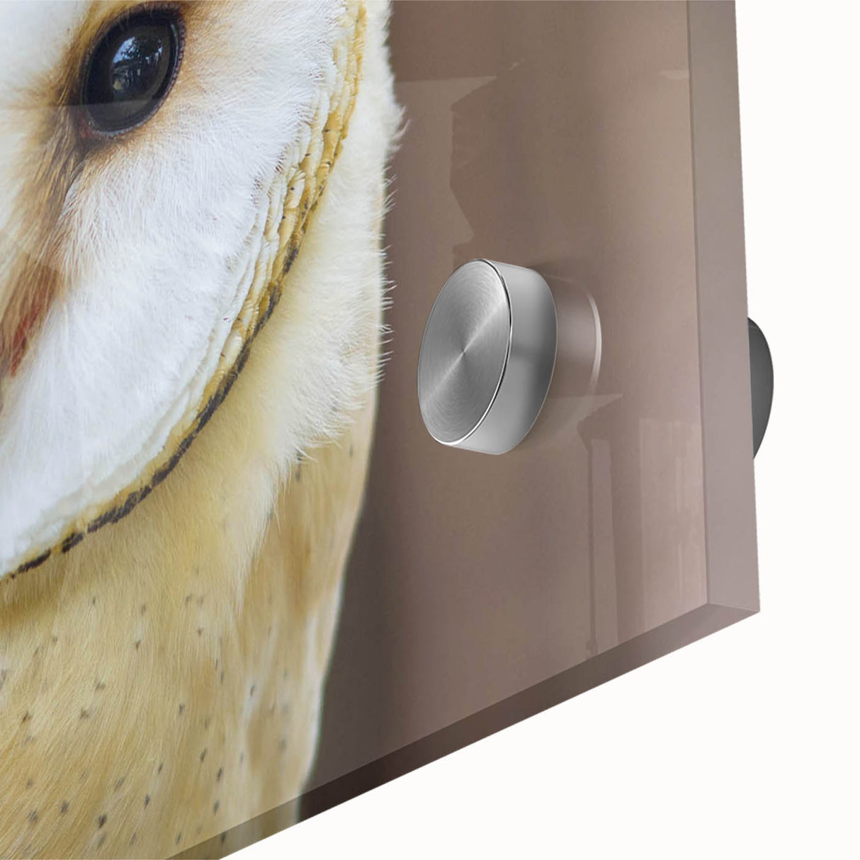 Close-up of a vibrant acrylic glass wall art piece showcasing a stunning design of birds in flight, perfect for enhancing modern home decor with a touch of nature.