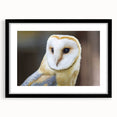 Framed wall art showcasing a striking birds of prey design with a black mat, perfect for adding a touch of elegance to modern home decor. The artwork features vibrant colors and intricate details, emphasizing the beauty of avian wildlife.