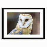 Framed wall art showcasing a striking birds of prey design with a black mat, perfect for adding a touch of elegance to modern home decor. The artwork features vibrant colors and intricate details, emphasizing the beauty of avian wildlife.