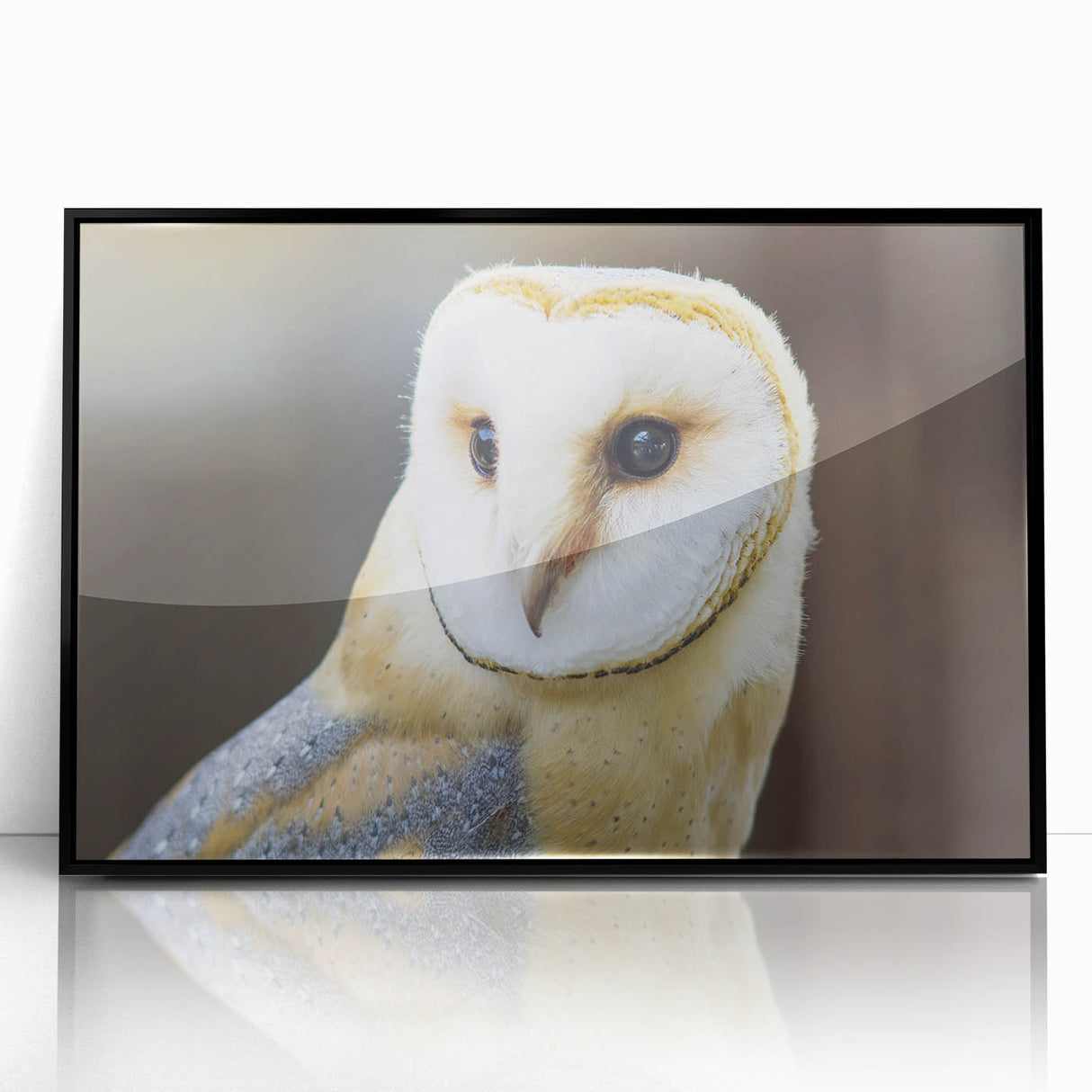 Framed acrylic wall art featuring a striking bird design in black, showcasing intricate details and vibrant colors, perfect for modern home decor.