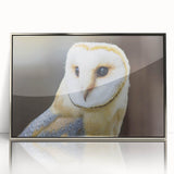 Framed wall art featuring a vibrant birds of prey design in acrylic, showcasing intricate details and a sleek silver frame, ideal for home decor enthusiasts.