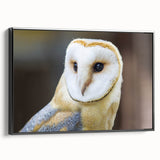 Graceful Barn Owl Portrait - Elegant Birds of Prey Wall Art