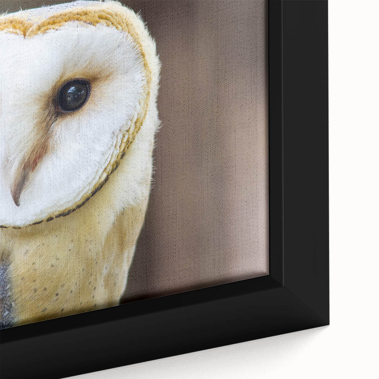 Close-up of a framed canvas wall art piece showcasing a vibrant birds of prey design, featuring intricate details and rich colors, perfect for nature enthusiasts.