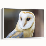 Framed wall art featuring a striking birds of prey design, showcasing detailed illustrations in vibrant colors on a white canvas, ideal for nature enthusiasts.