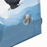 Close-up view of a vibrant acrylic glass wall art piece showcasing colorful birds in flight, ideal for home decor, enhancing living spaces with nature-inspired design.