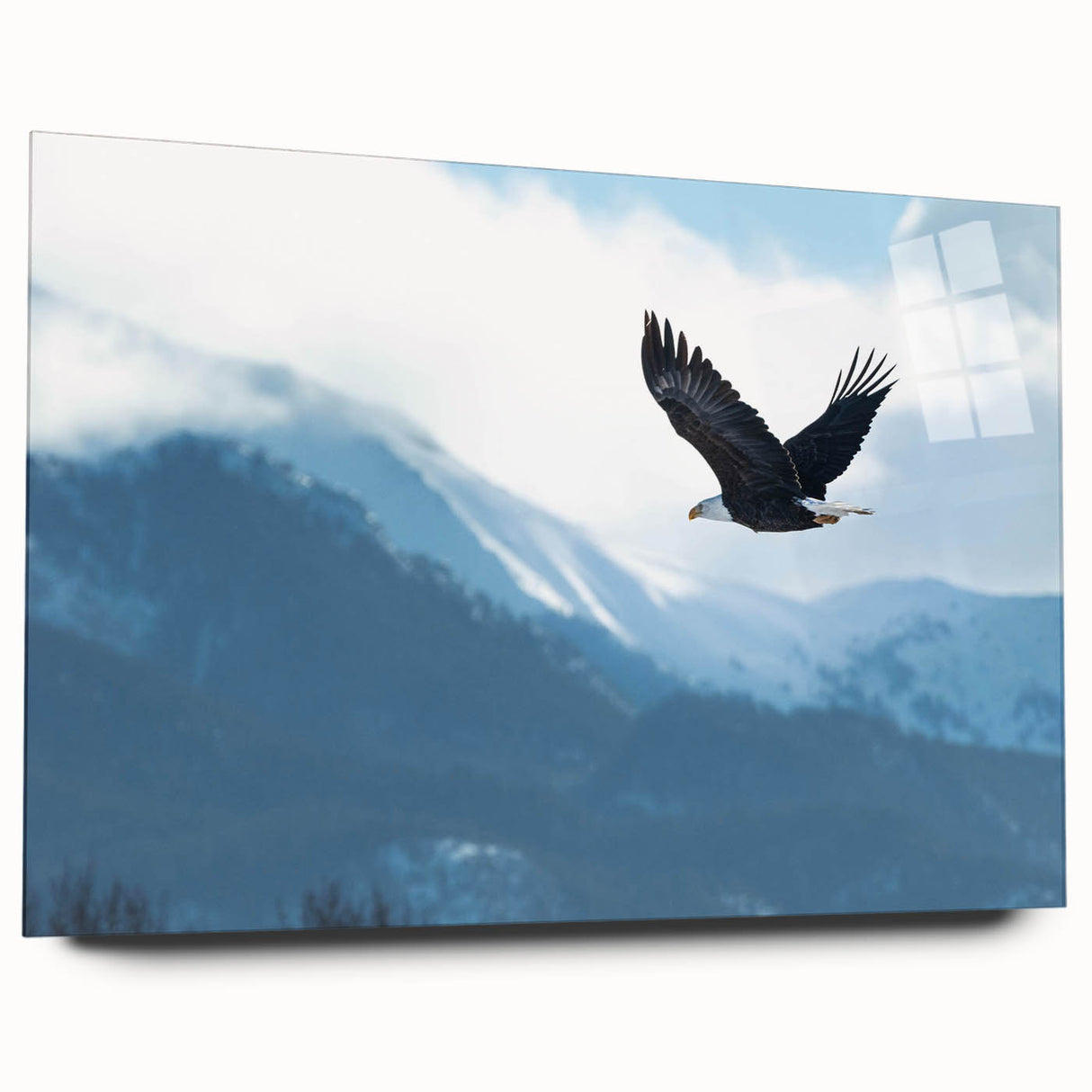 Acrylic glass wall art featuring a vibrant design of birds in flight, showcasing intricate details and colors, set against a clear backdrop for modern decor.