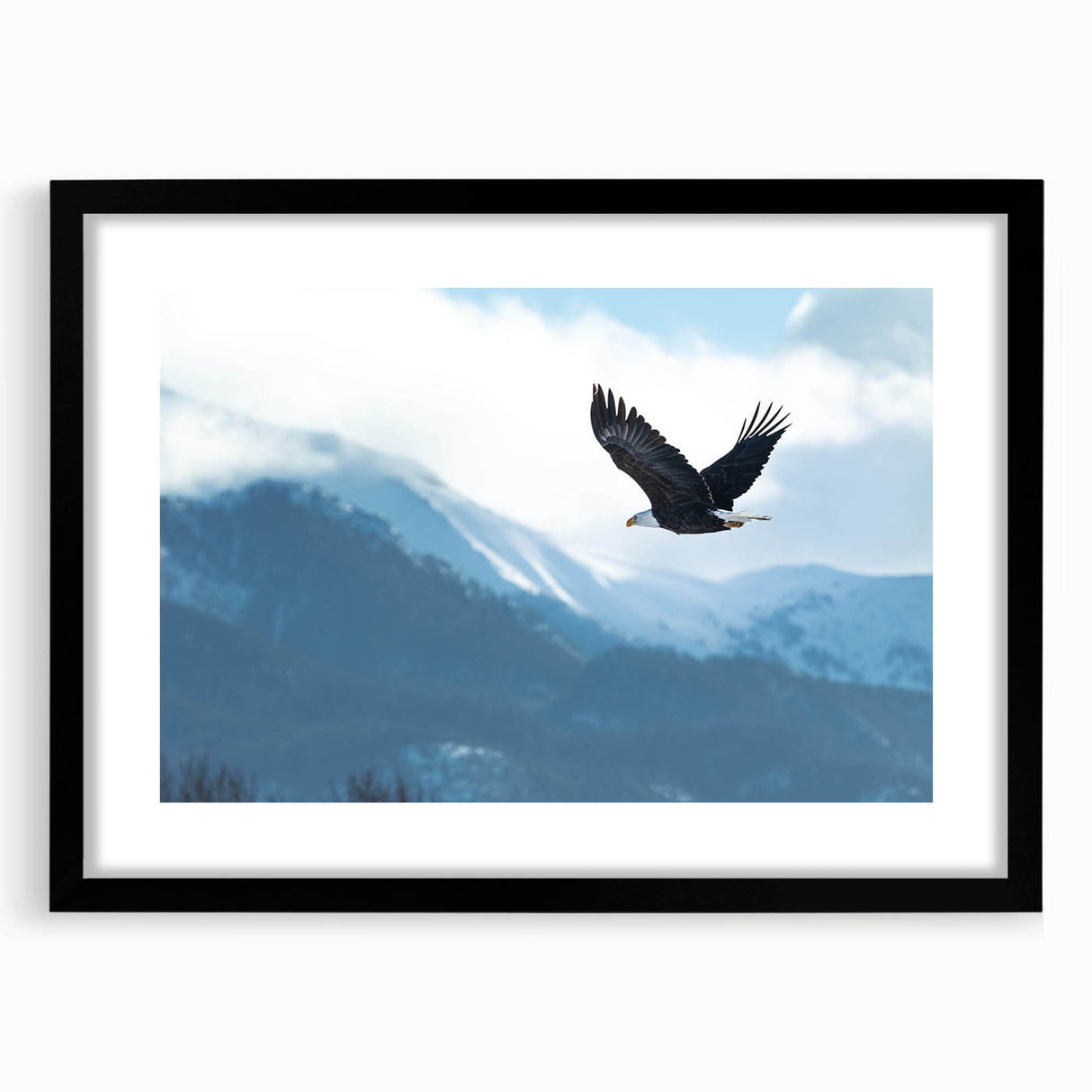 Framed wall art showcasing a captivating birds of prey design in striking black and white, ideal for bird lovers and modern decor enthusiasts. The artwork is beautifully matted, enhancing its aesthetic appeal and making it a perfect statement piece for any living space.