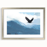 Framed wall art collection showcasing a stunning design of birds of prey, featuring a silver frame with a mat, perfect for adding elegance to any decor.