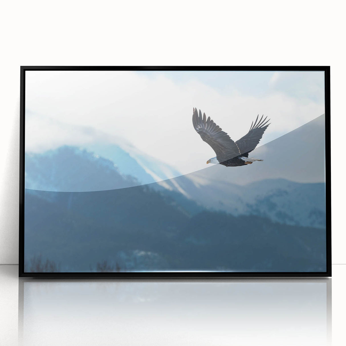 Framed acrylic wall art featuring a bold bird design in vibrant colors, showcasing intricate details and a sleek black frame, perfect for modern decor.