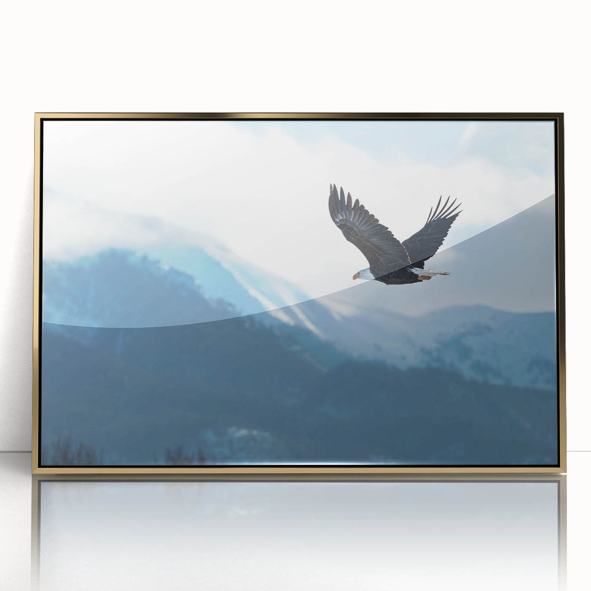 Framed acrylic wall art featuring a striking design of birds of prey, showcasing intricate details and a gold frame, perfect for enhancing any modern interior decor.