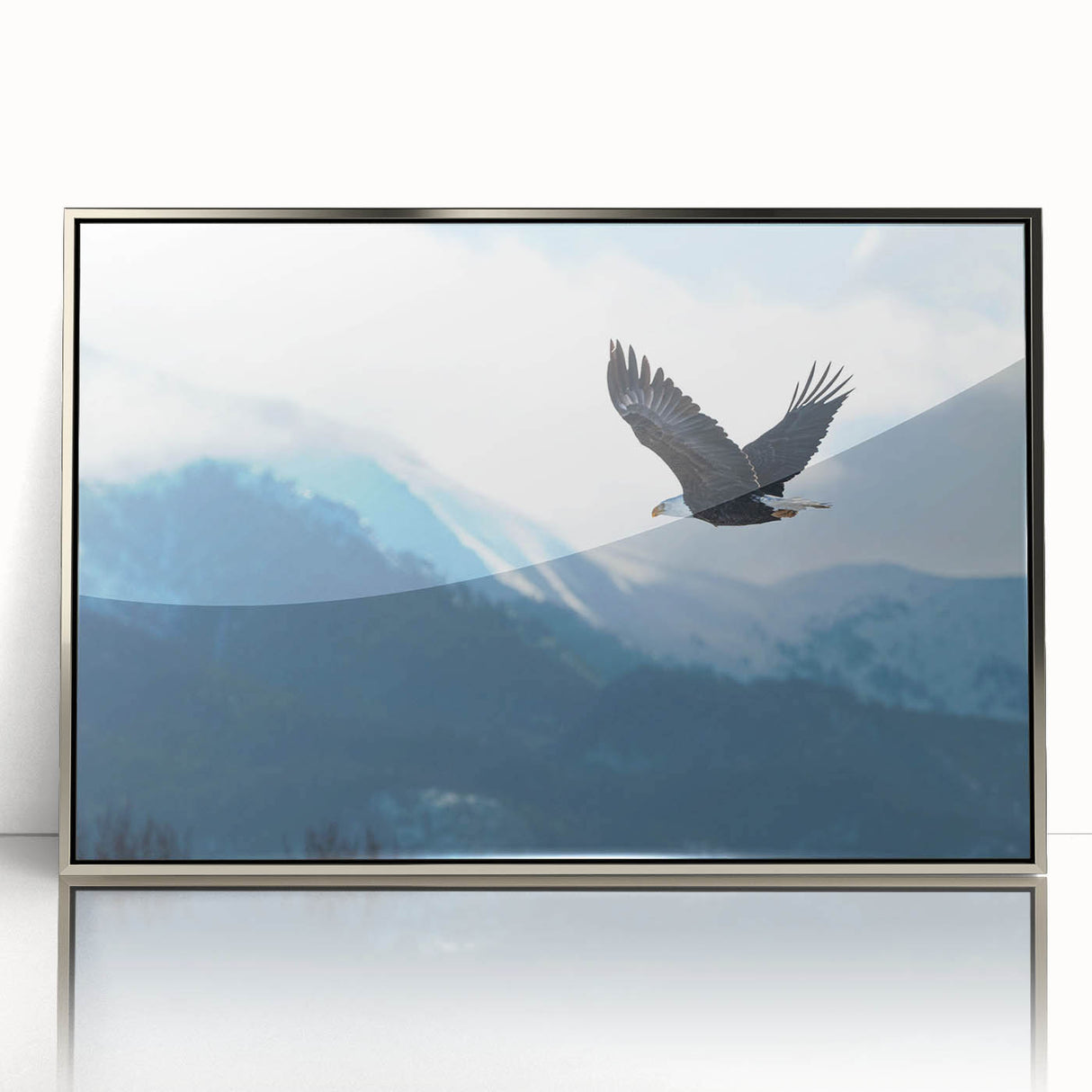 Framed wall art featuring a striking design of birds of prey, showcased in a sleek silver frame, perfect for modern home decor. Ideal for nature lovers and art enthusiasts.