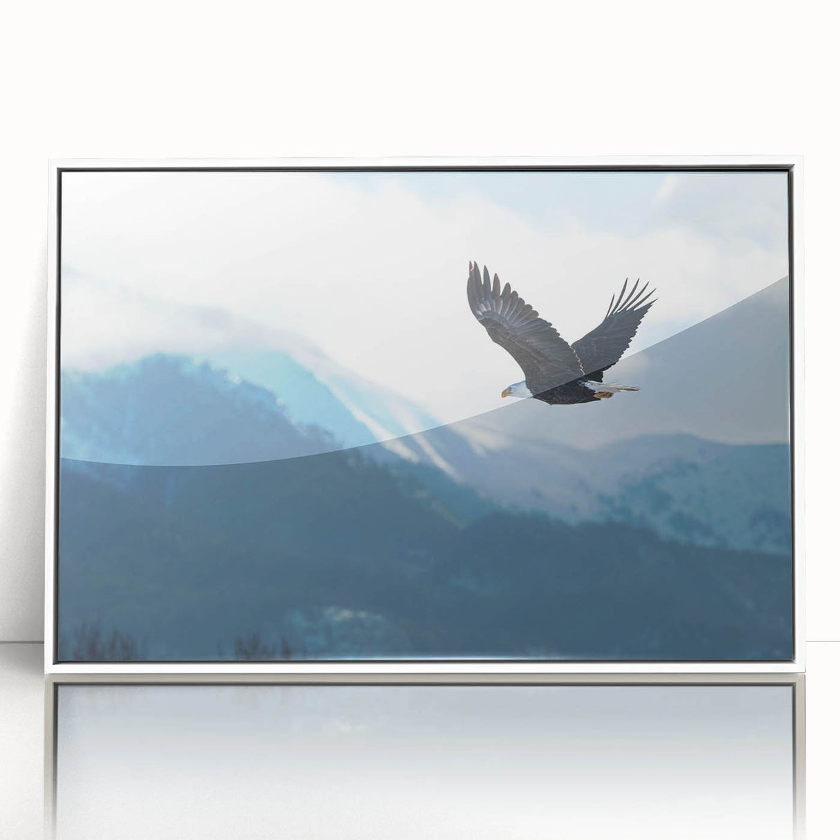 Framed acrylic wall art featuring a vibrant design of birds from the "Birds of Pray" collection, displayed against a clean white backdrop, perfect for modern decor.