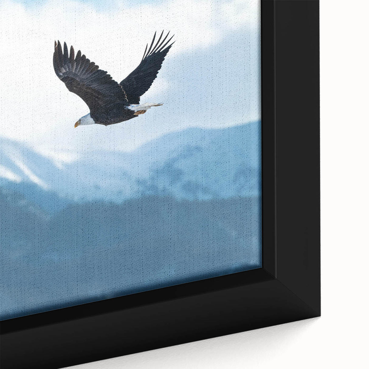 Framed canvas wall art displaying a detailed close-up of vibrant birds in flight, showcasing brilliant colors and intricate designs, perfect for home décor.