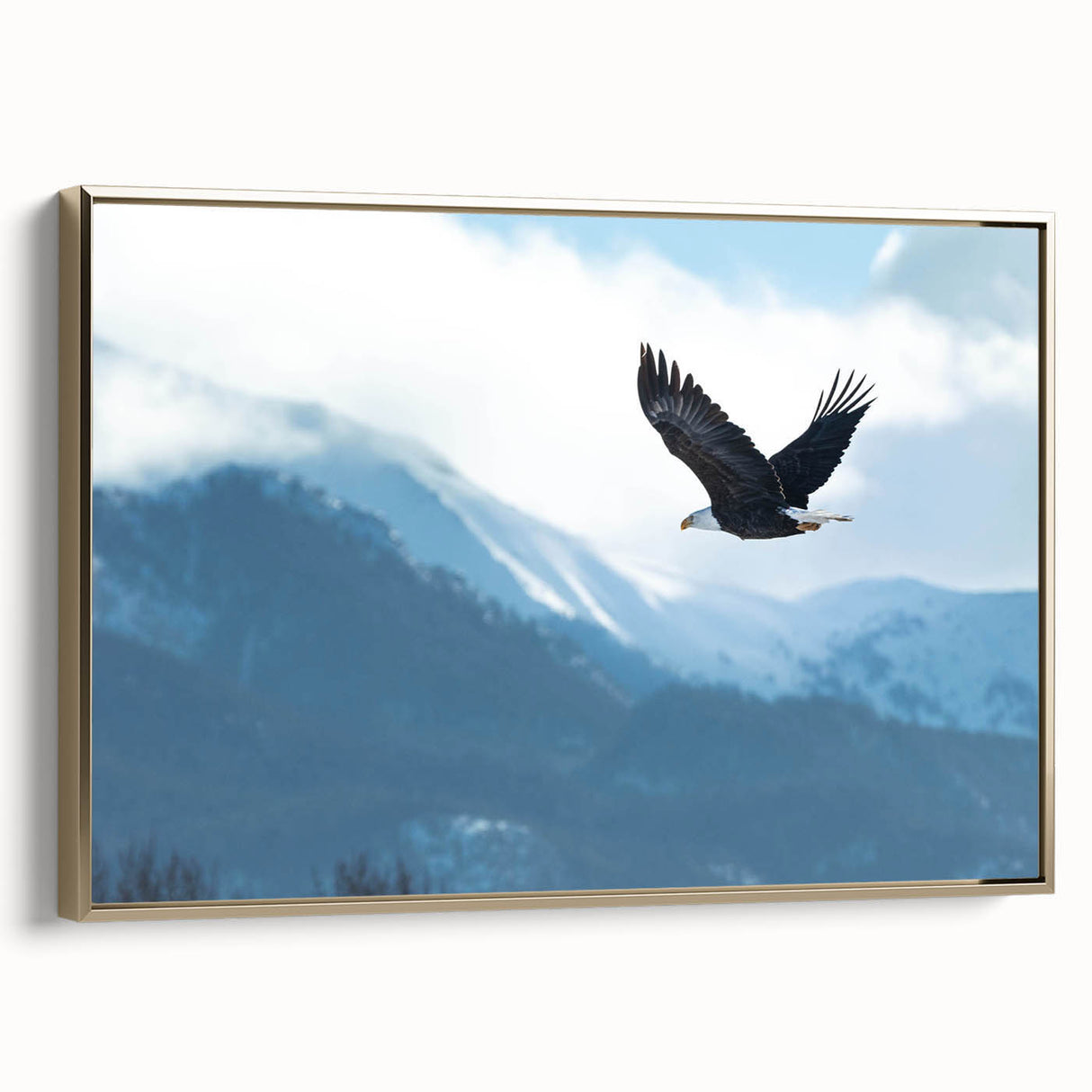 Framed wall art showcasing a stunning design of birds of prey, featuring intricate details in gold and earthy tones, ideal for nature lovers and home decor enthusiasts.