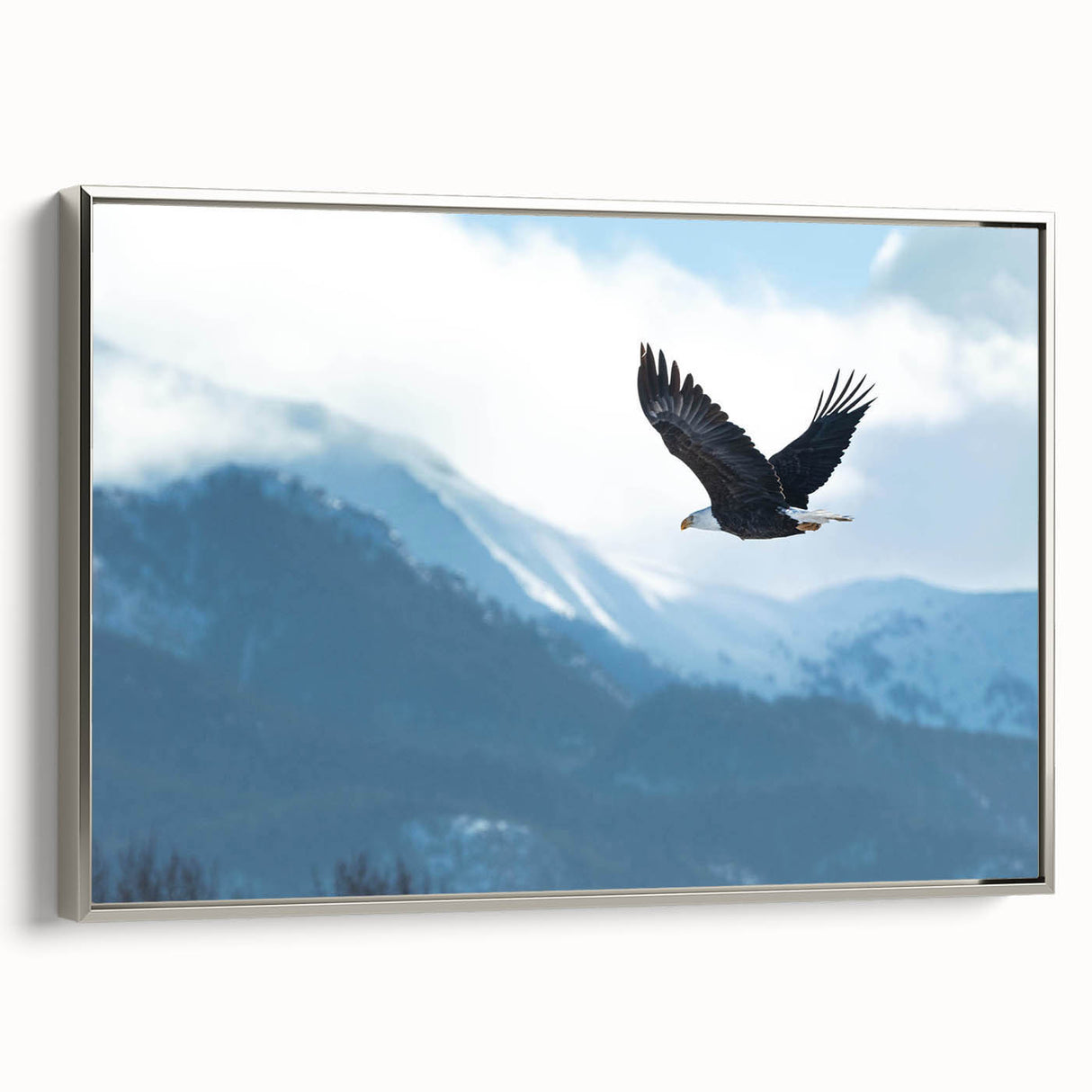 Framed wall art collection showcasing a detailed birds of prey design on canvas, featuring a sleek silver frame and side view, perfect for nature enthusiasts.
