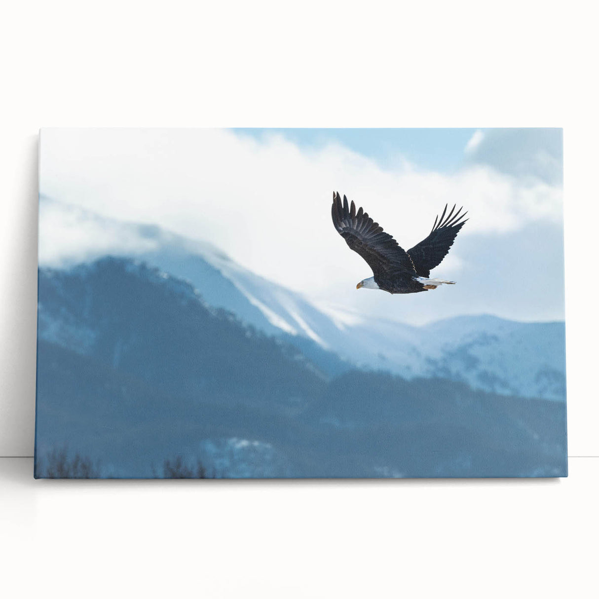 Vibrant wall art featuring a collection of stylized birds in flight, printed on stretched canvas with a modern design aesthetic, ideal for enhancing living spaces.