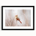 Framed wall art featuring a vibrant cardinal bird design in shades of red and green, set against a black mat, perfect for home decor or nature-themed interiors.
