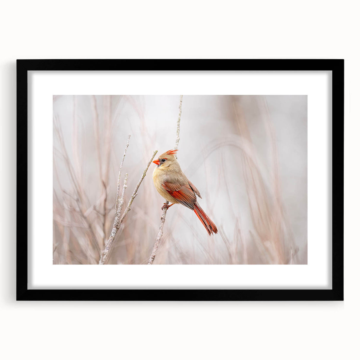 Framed wall art featuring a vibrant cardinal bird design in shades of red and green, set against a black mat, perfect for home decor or nature-themed interiors.