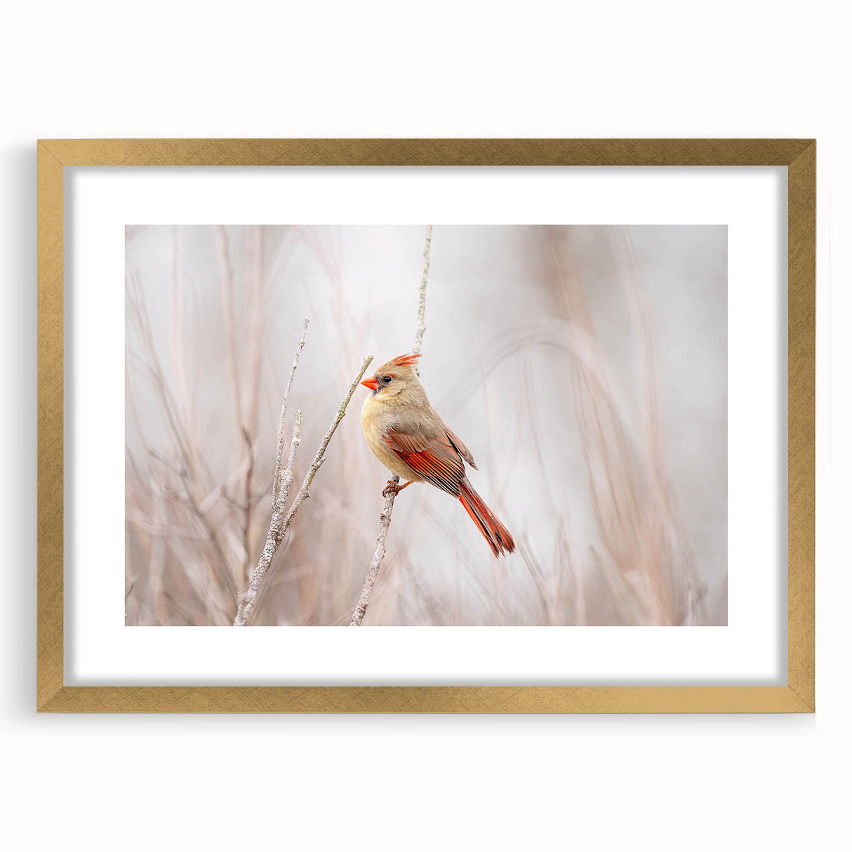 Stunning wall art showcasing a vibrant cardinal bird design in a gold frame with a mat. Ideal for adding elegance and nature-inspired decor to any room.
