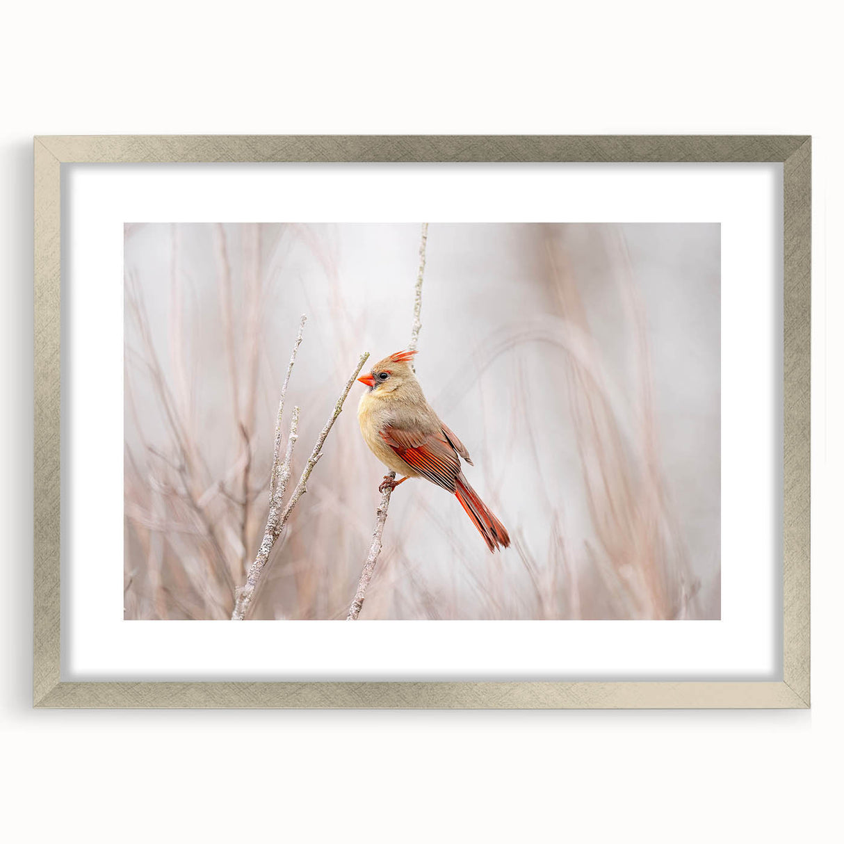 Framed wall art featuring vibrant red cardinals perched on branches, accented with a silver mat, ideal for adding a touch of nature-inspired elegance to home decor.