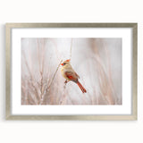 Framed wall art featuring vibrant red cardinals perched on branches, accented with a silver mat, ideal for adding a touch of nature-inspired elegance to home decor.