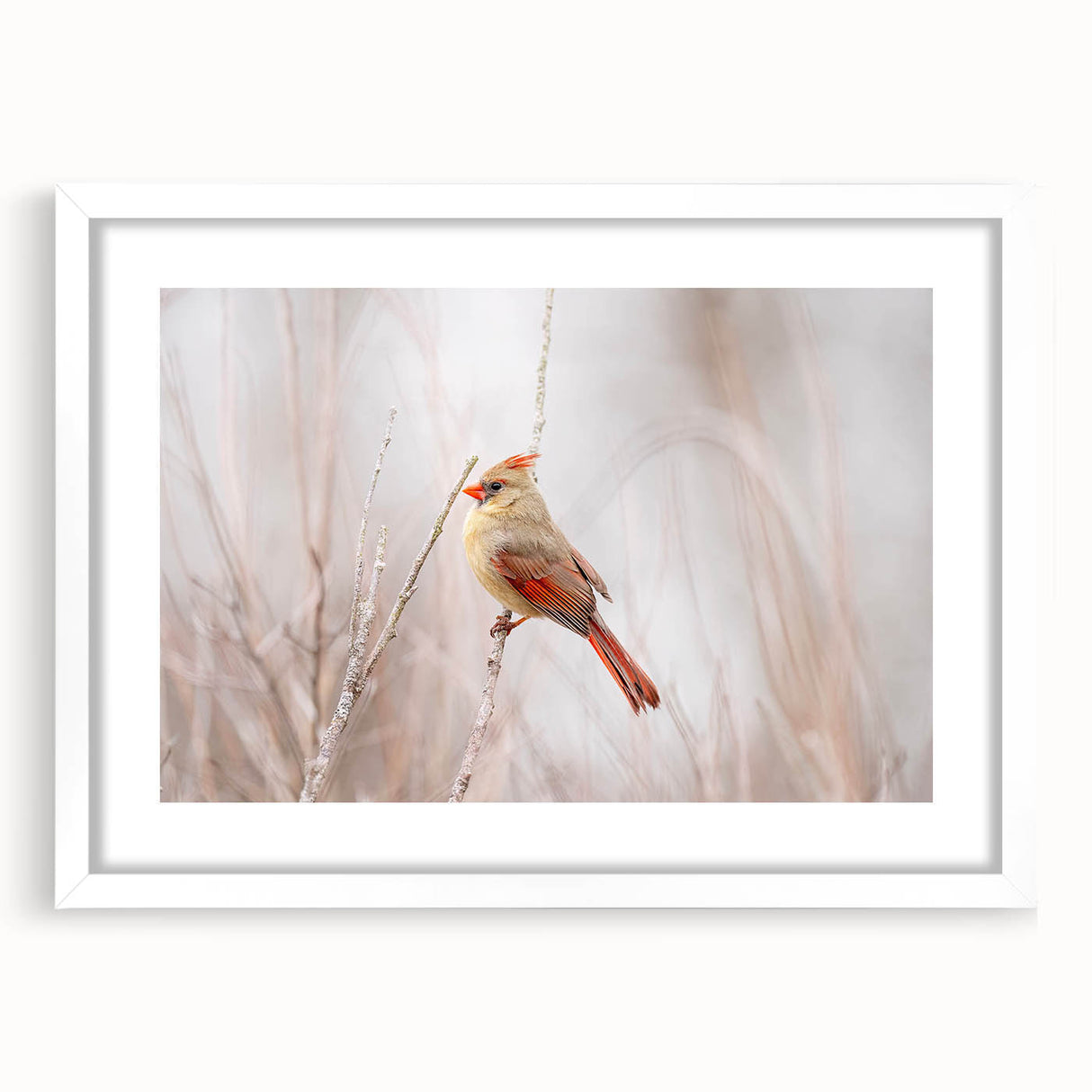 Framed wall art displaying a vibrant cardinal bird design, featuring rich red and green colors, set against a white mat and sleek black frame, perfect for home decor.