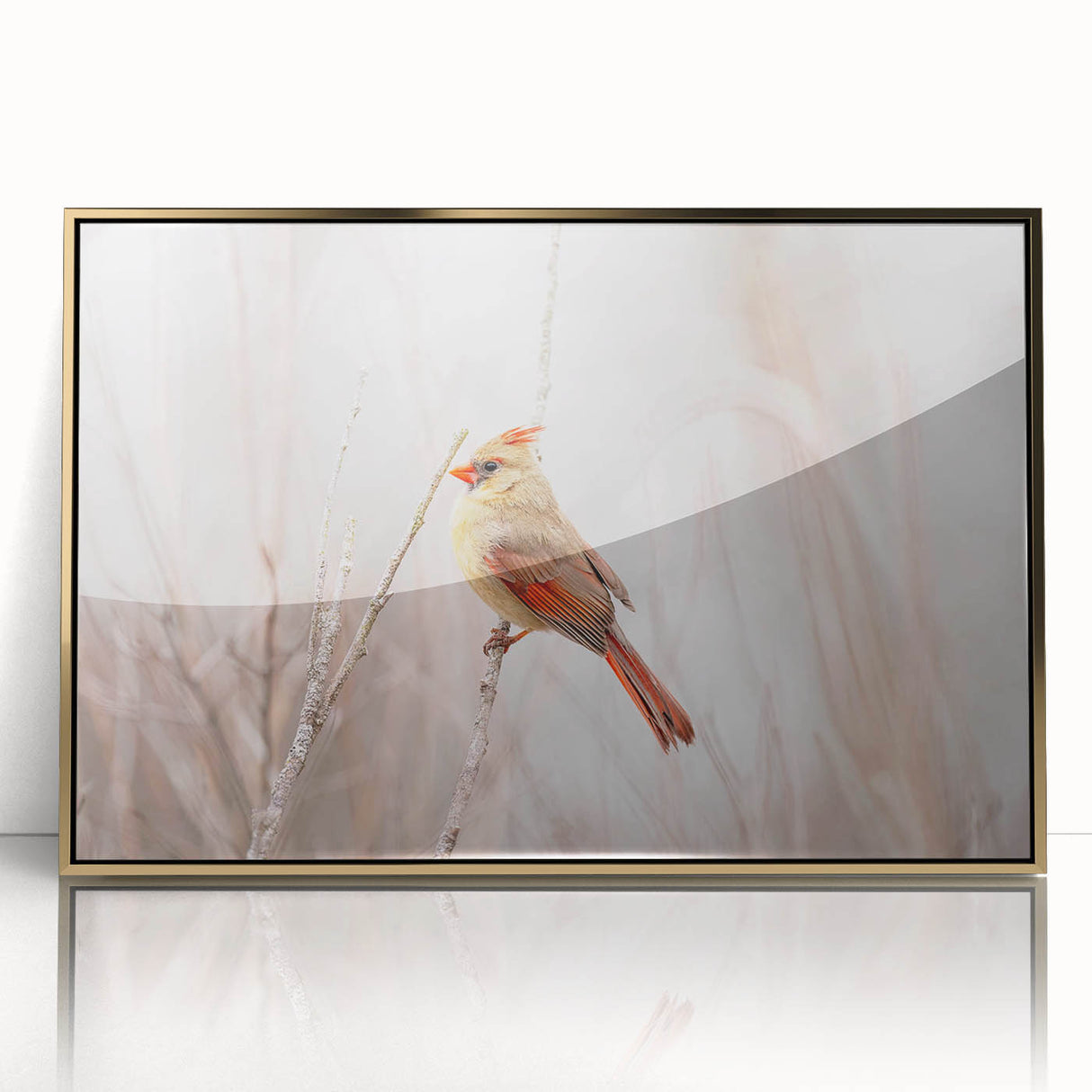 Framed wall art featuring a vibrant cardinal bird design, set against a gold-acrylic background, showcasing intricate details and elegant framing for home decor.
