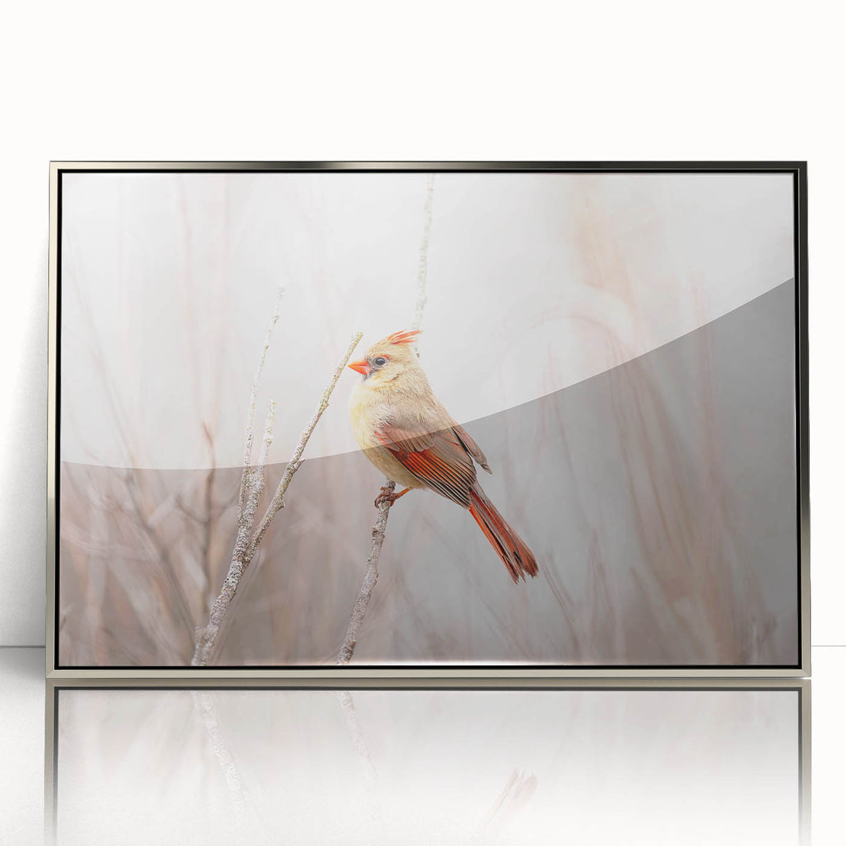 Framed wall art featuring a vibrant cardinal design in a silver frame, showcasing detailed bird illustrations against a soft background, perfect for nature lovers.