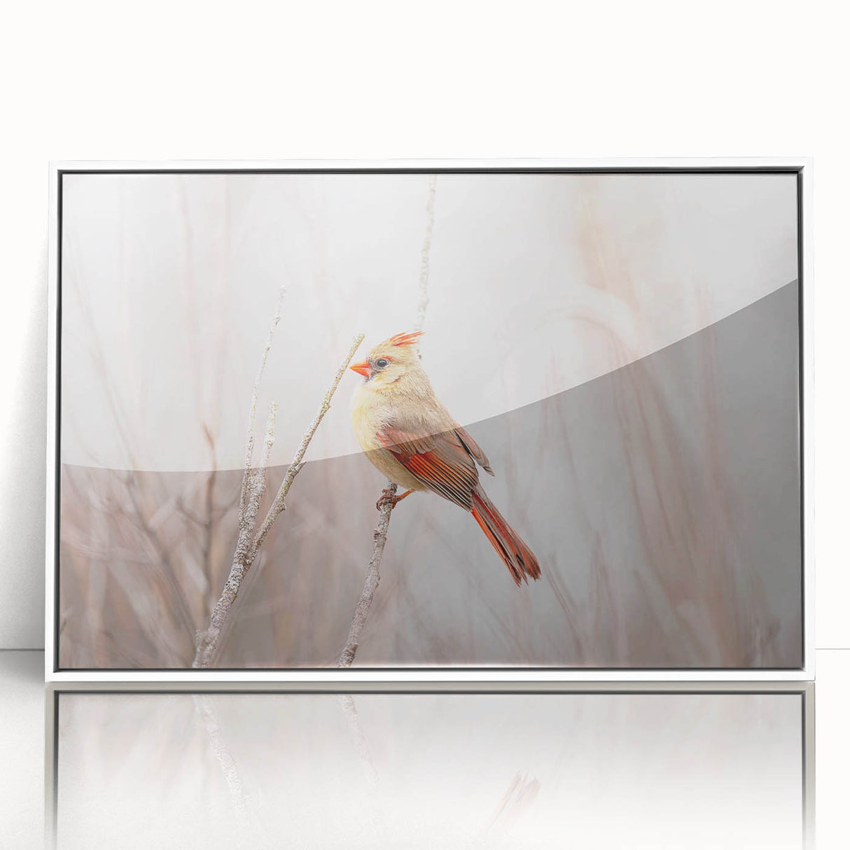 Framed wall art featuring vibrant red cardinal birds on a white background, showcasing intricate details and natural beauty, perfect for home decor enthusiasts.