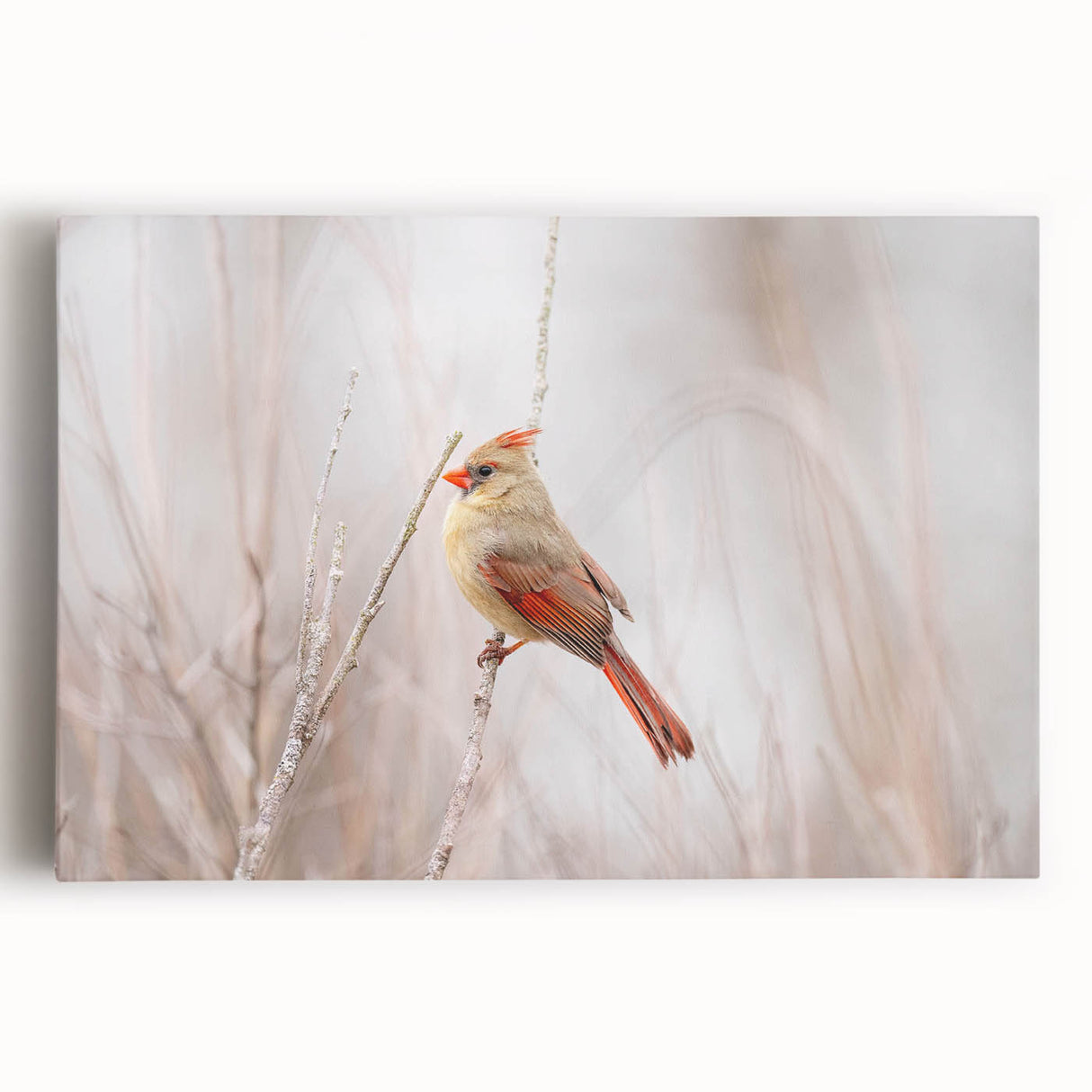 Vibrant stretched canvas wall art showcasing a detailed cardinal bird design, featuring rich red and earthy tones, perfect for home decor enhancement.