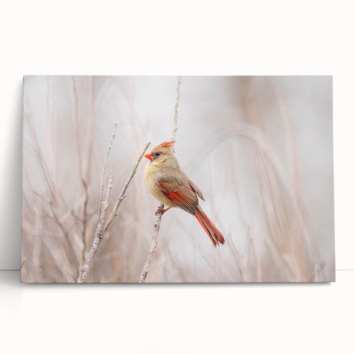 Stretched canvas wall art featuring a vibrant cardinal bird design in rich reds and greens, elegantly leaning against a neutral background, perfect for nature lovers.