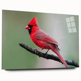 Cardinal bird wall art displayed in a sleek acrylic frame, showcasing vibrant red and brown colors against a neutral backdrop, perfect for home decor.
