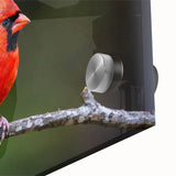 Close-up view of a vibrant cardinal bird wall art design on acrylic glass, showcasing detailed colors and textures, perfect for nature-themed decor.