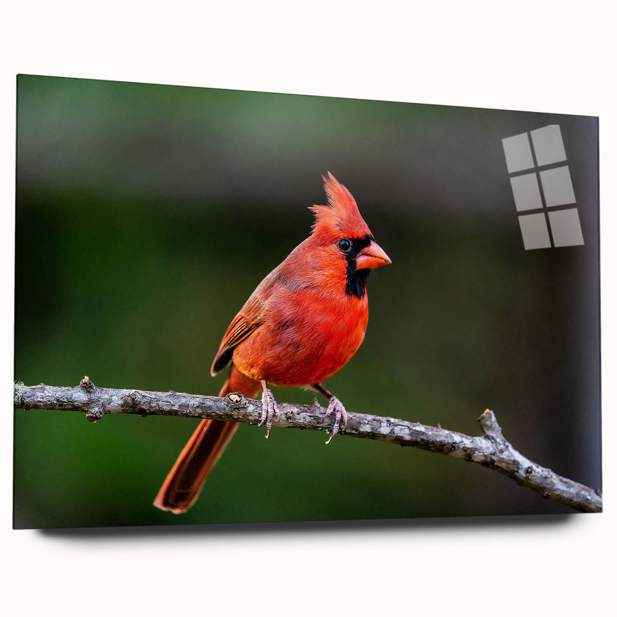 Vibrant cardinal wall art design displayed in an elegant acrylic frame, showcasing rich red and green colors, perfect for enhancing home decor with a touch of nature.