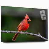 Vibrant cardinal wall art design displayed in an elegant acrylic frame, showcasing rich red and green colors, perfect for enhancing home decor with a touch of nature.