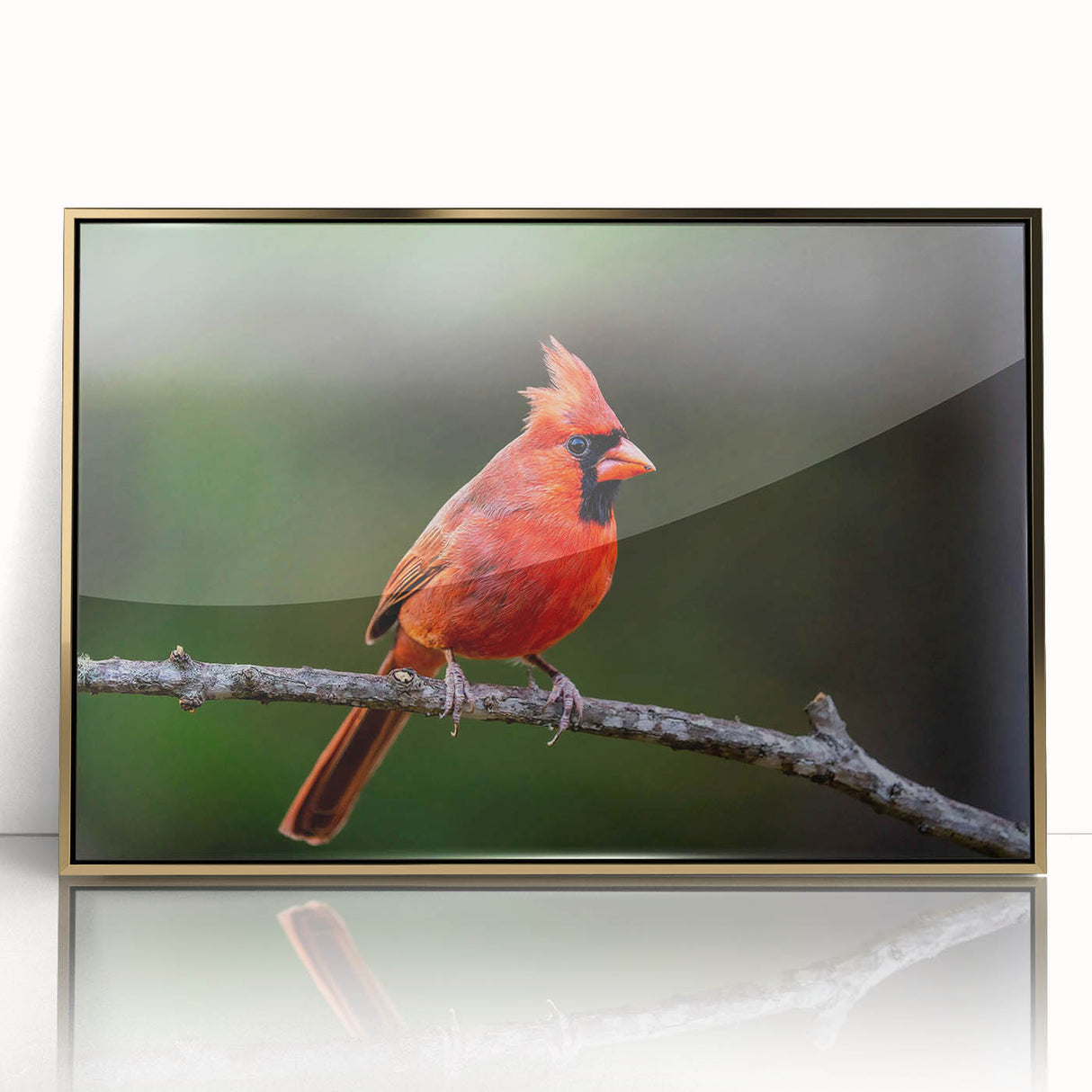 Framed wall art featuring a vibrant cardinal design with gold accents, showcasing a front view of the artwork against a white background, perfect for home decor.