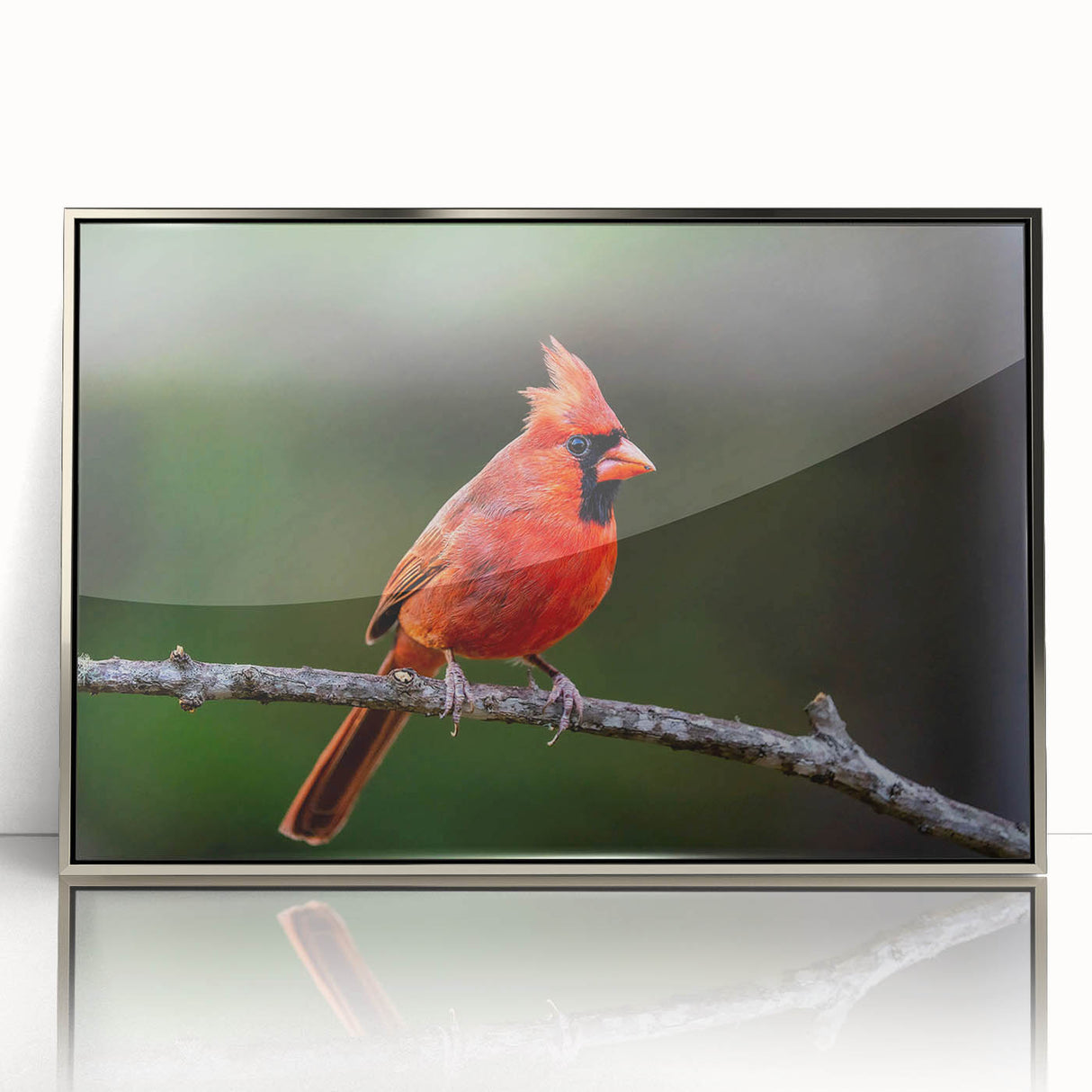Framed wall art featuring a vibrant cardinal bird design in a silver-acrylic frame, showcasing detailed colors and textures, perfect for nature lovers’ decor.