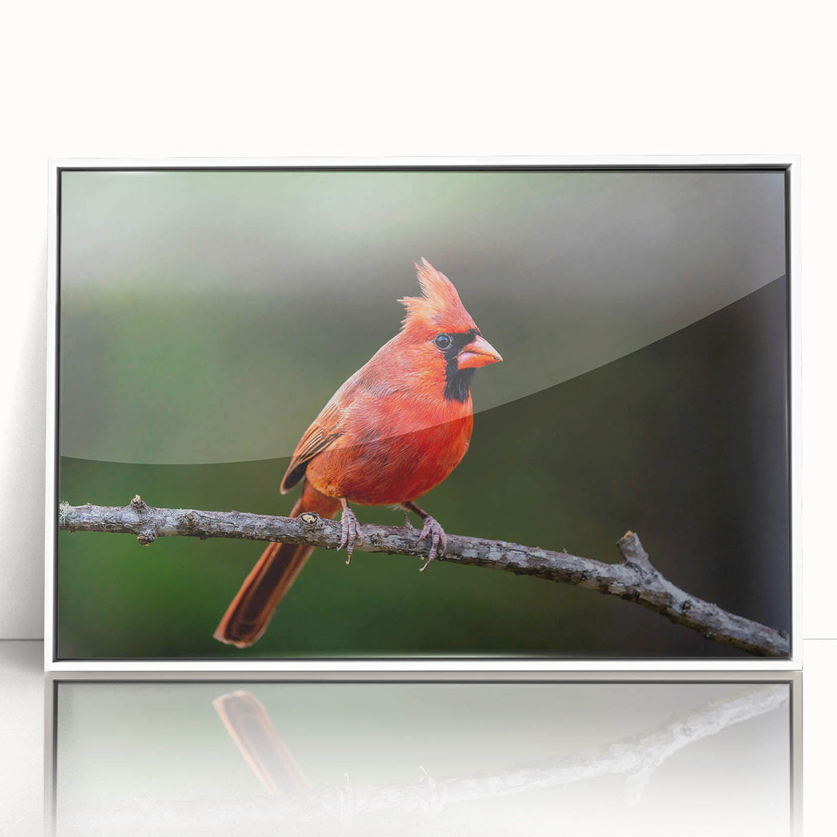 Framed wall art featuring a vibrant red cardinal design on a white background, showcasing intricate details and a sleek acrylic finish, ideal for home decor.
