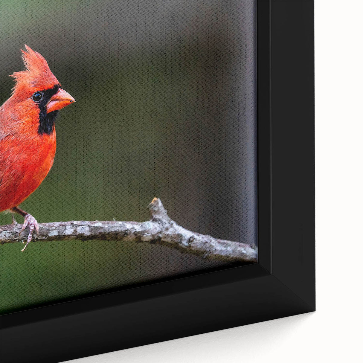 Close-up of a framed canvas wall art featuring vibrant red cardinals perched on branches, showcasing intricate details and rich textures in a natural setting, perfect for enhancing home decor.